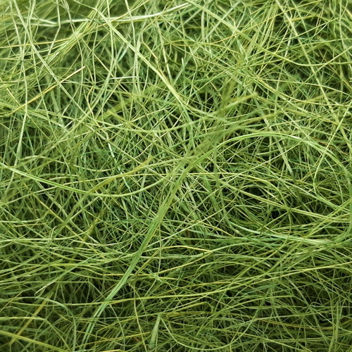 картинка Сизалевое волокно-100гр цв.травяной-зеленый от магазина Пряжа Макошь Ярославль