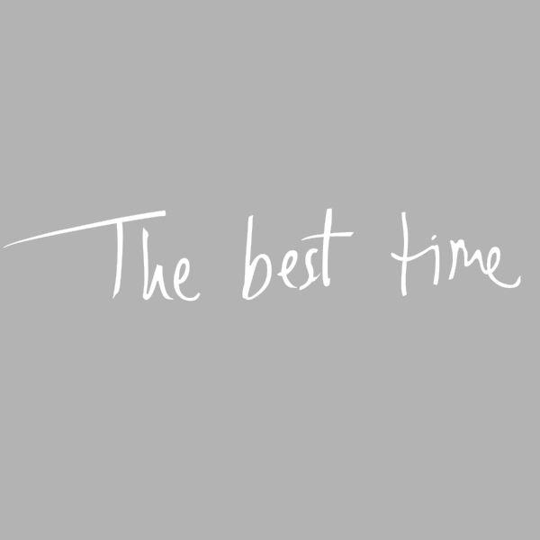 картинка Термотрансфер-THE BEST TIME(Хорошее время) 6х30см от магазина Пряжа Макошь Ярославль